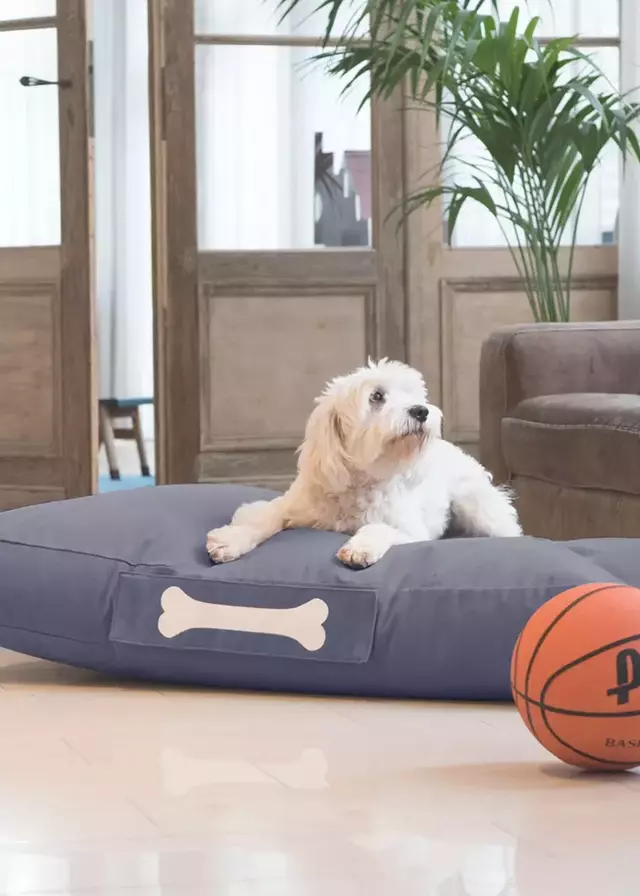 FATBOY Doggielounge Large Recycled Velvet Dog Bed
