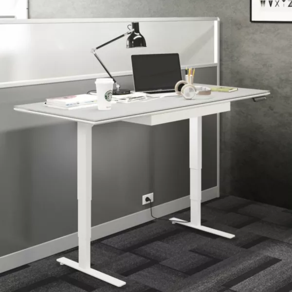 BDI Centro Adjustable Standing Desk 6
